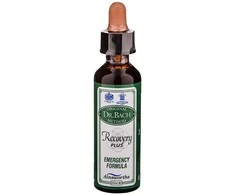 Santiveri Bach Atkūrimas plius 20ml