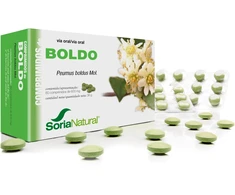 Soria Boldo 600 Mg 60 vnt