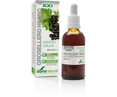 Soria Juodųjų serbentų ekstraktas S Xxi 50ml