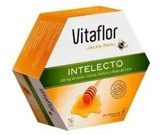 Vitaflor Realinė želė Intelektas 20 ampulių