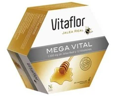 Vitaflor Mega Vital 20 Vials 200ml
