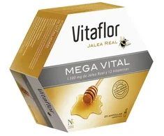 Vitaflor Mega Vital 20 Vials 200ml