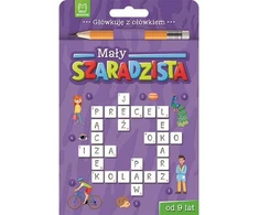 Aksjomat Mažas žilaplaukis berniukas nuo 9 metų Violet knyga 69809