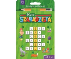 Aksjomat Mažasis pilkapių žaidėjas nuo 9 metų Žalioji knyga 69793