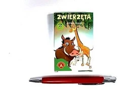 Alexander Aleksandro kortų atminties žaidimas „Peter Cards“ – gyvūnai GR0808