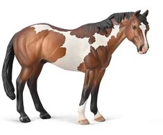 Collecta Apaloosa eržilas