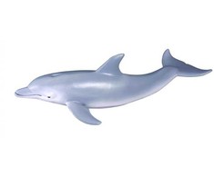 Collecta Figūrėlė Delfinas Afalina (M)