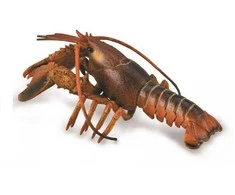 Collecta Figūrėlė Omaras (L)