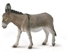 Collecta Surinkti Surinkti BARNAS (BARNAS)