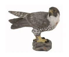 Collecta Figūrėlė - Sakalas keleivis