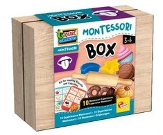 Dante Lisciani Montessori box Smak 105472 05472