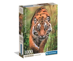 Clementoni Dėlionė 1000 vnt. - Tigras