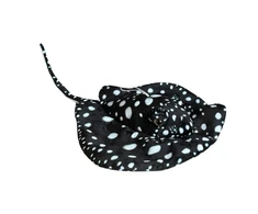 Dubi Pliušinis žaislas - juoda raja, 55 cm