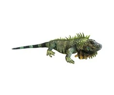 Dubi Pliušinis žaislas - iguana, 85 cm
