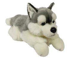 Dubi Plusz Dubi Pies Husky leżący 61cm 35509
