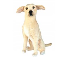 Dubi Pies Labrador 65cm 33574