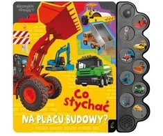 Foksal Platonas Kas naujo? Kas naujo statybvietėje? 94772