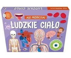 Morex Ale przyroda ludzkie ciało 15482