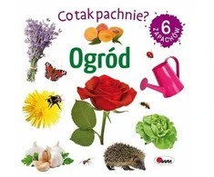 Morex Co tak pachnie? Ogród 14706