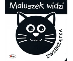 Morex Maluszek widzi zwierzątka 2024 14591