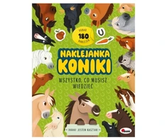 Morex Naklejanka koniki 17462