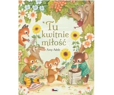 Morex Tu kwitnie miłość 15703