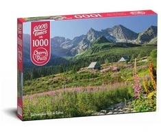 Cherry Pazzi CherryPazzi dėlionė Gasienicowa hall in Tatras 1000 det.