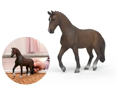 Schleichas – KWPN Gelding (14919)