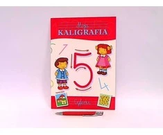 Skrzat Wydawnictwo Edukacinė knyga. A4 Mano kaligrafija. Numeriai SKRZAT 375054