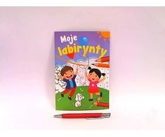 Skrzat Wydawnictwo Moje labirynty 70095