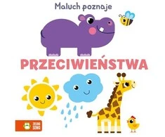 Zielona Sowa ZIELONASOWA Mažylis mokosi anglų kalbos žodžių 94070