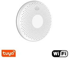 Dūmų ir CO jutiklis Feelspot CS11W WiFi, Tuya