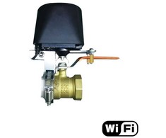 Išmanusis vožtuvo valdiklis Feelspot FS-VC01 WiFi