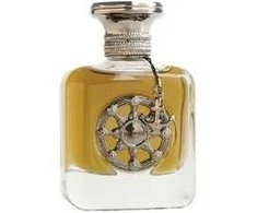 Aurora Scents Aurora Voyager Juodas Žalias EDP parfumuotas vanduo vyrams, 100 ml