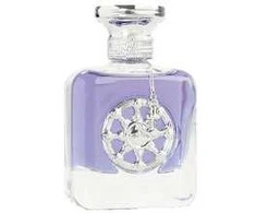 Aurora Scents Aurora Voyager Sidabrinis EDP parfumuotas vanduo vyrams, 100 ml