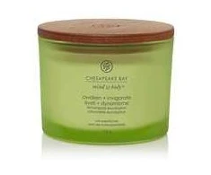 Chesapeake Bay Candle maža žvakė – Awaken &amp; Invigorate (Lemongrass Eucalyptus)