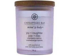 Chesapeake Bay Candle maža žvakė – Joy &amp; Laughter (Cranberry Dahlia)