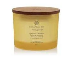 Chesapeake Bay Candle maža žvakė – Strength &amp; Energy (Pineapple Coconut)