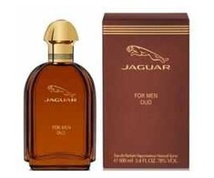 Jaguar Oud For Men EDP parfumuotas vanduo vyrams, 100 ml