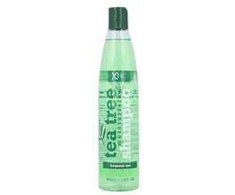 Xpel Tea Tree Šampūnas moterims, 400 ml