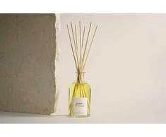 The Olphactory Grace Mint Tea &amp; Basil Fragrance Sticks Aroma Reed Diffuser, 250 ml