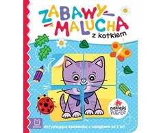 Aksjomat Vaikų aktyvinimo knyga su lipdukais KS0823