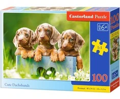 Castorland Dėlionė 100 vnt. - Mieli šunyčiai