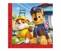 2 sluoksnių popierinė servetėlė 33x33 Paw patrol, 20 vnt. GODAN 95599 GO