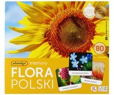 Flora Lenkijos atminties žaidimas Adamigo 07851
