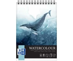 Oxford University Press Oksfordo universiteto spaudos AKMENS SPALVAS OXFART TW A4 10S 300G