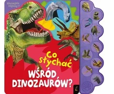 Platon Mokomoji knyga 29x27 cm Kas vyksta su dinozaurais FOKSAL 094789 FOK