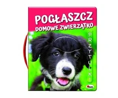 Morex PRINCAS. augintinis - augintinis, glostytas