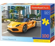 Castorland Dėlionė 100 vnt. - Arrinera Hussarya 33