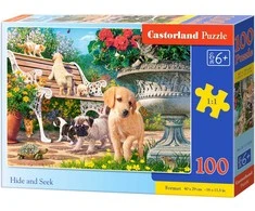 Castorland Dėlionė 100 vnt. - Slėpynės